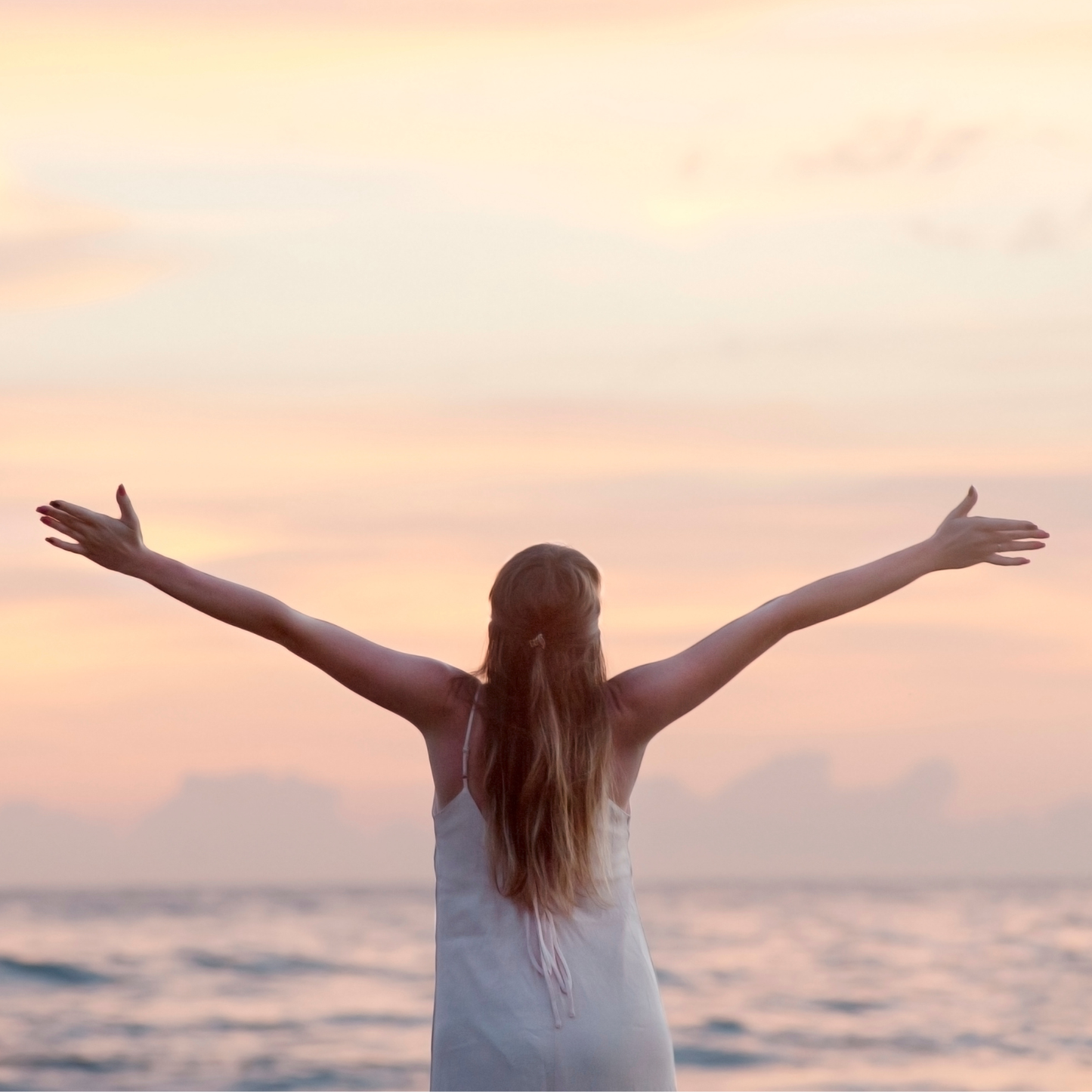 Water Wellness Bundle