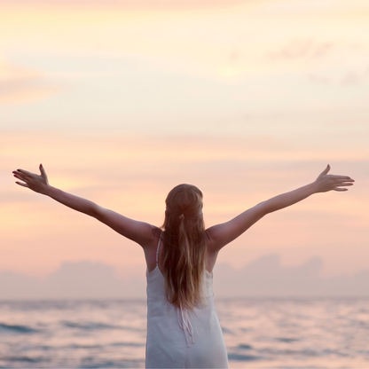 Water Wellness Bundle